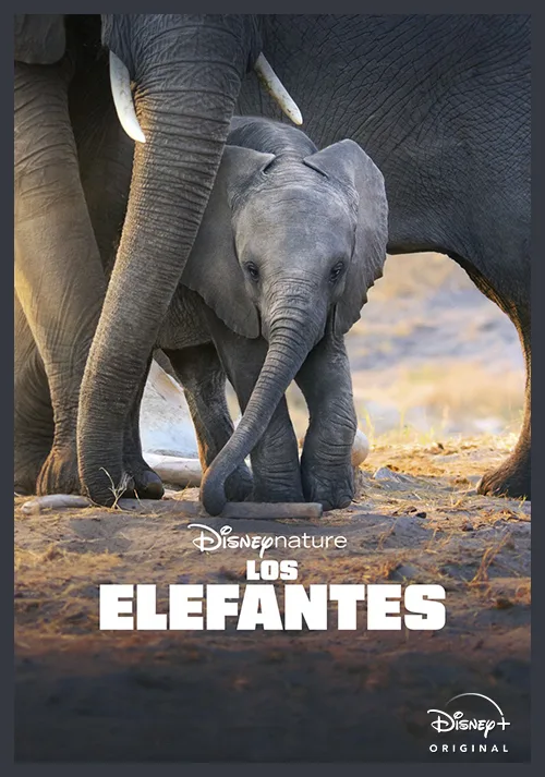 Imagen de la publicación: Películas Originales Disney+