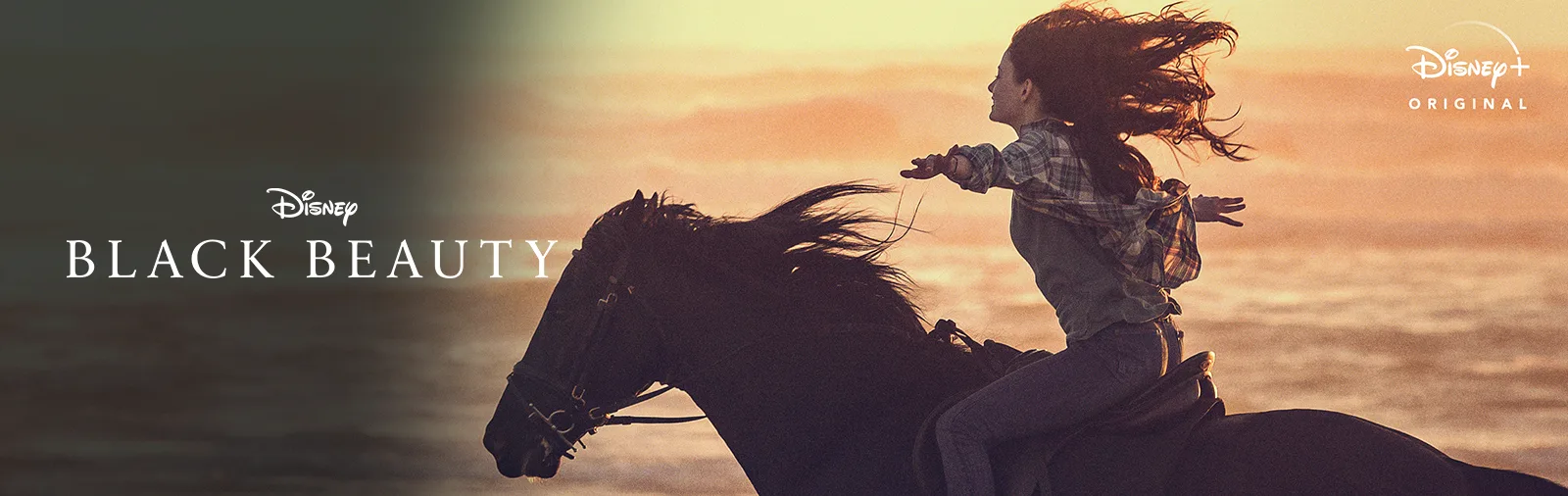 Imagen de la publicación: Black Beauty
