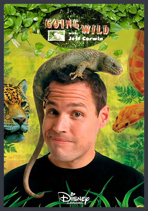 Imagen de la publicación: Series Originales Disney Channel